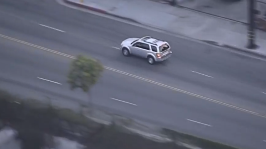Police chase suspect through Los Angeles streets