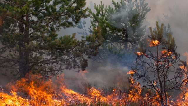 Enhanced threat for spread of wildfires Thursday afternoon - Vimarsana News