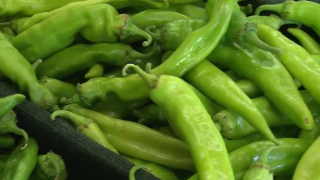 New Mexico State University project seeks more nutritious chile peppers - Vimarsana News