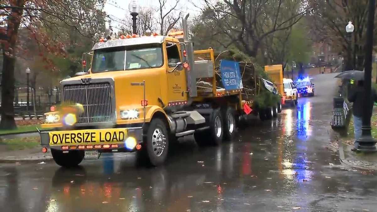 Boston's Christmas tree arrives on Boston Common after annual trip from