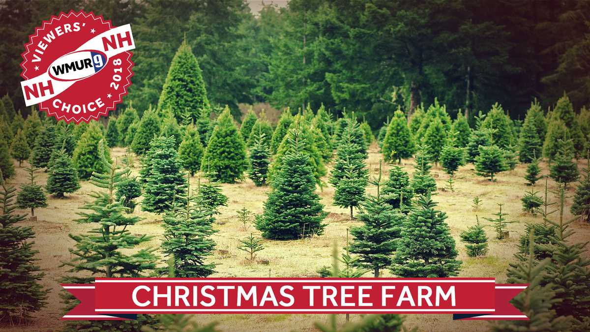Viewers' Choice 2018 Best Christmas tree farms in New Hampshire
