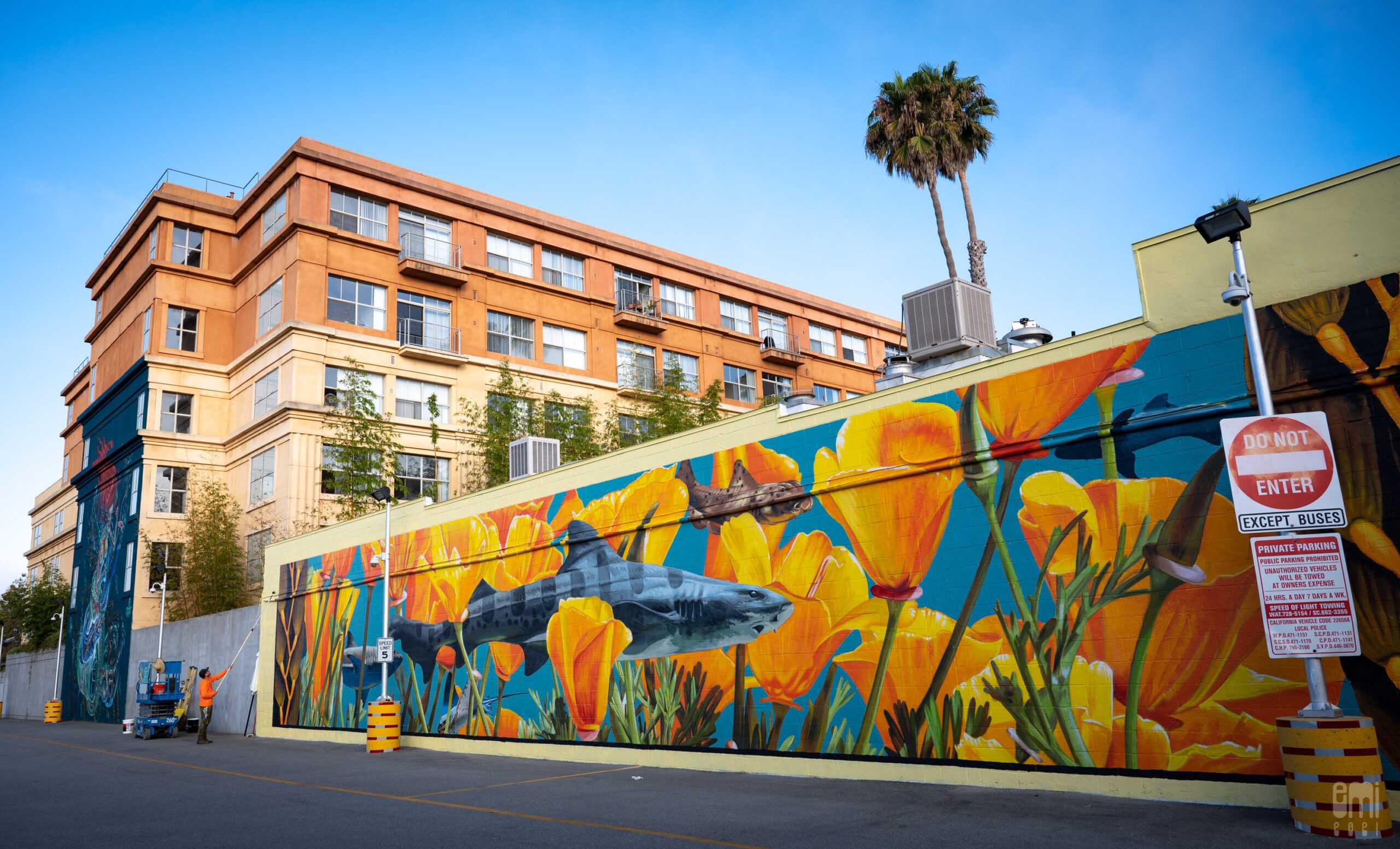 Santa Cruz's Newest Murals: Sea Walls