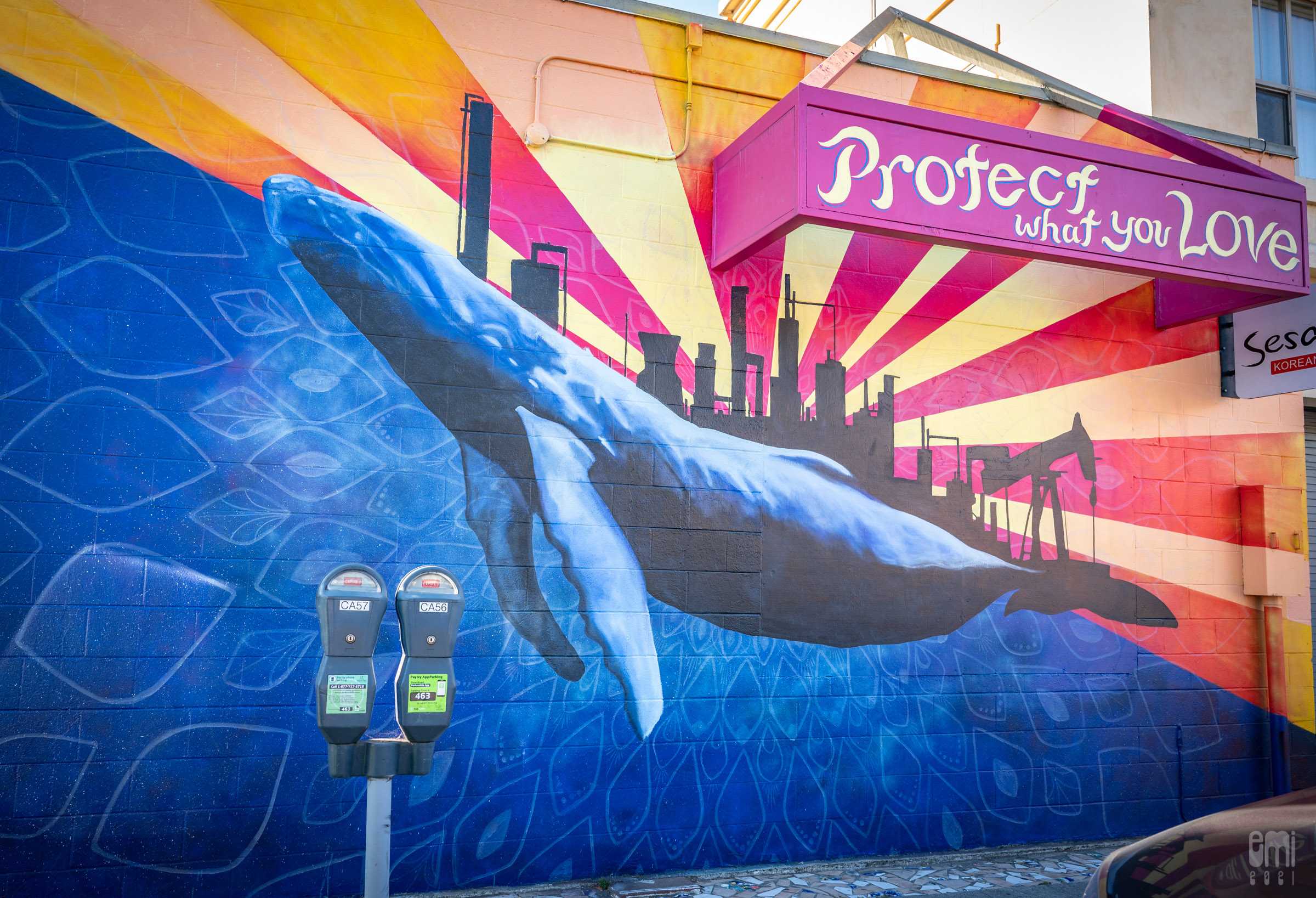 Santa Cruz's Newest Murals: Sea Walls