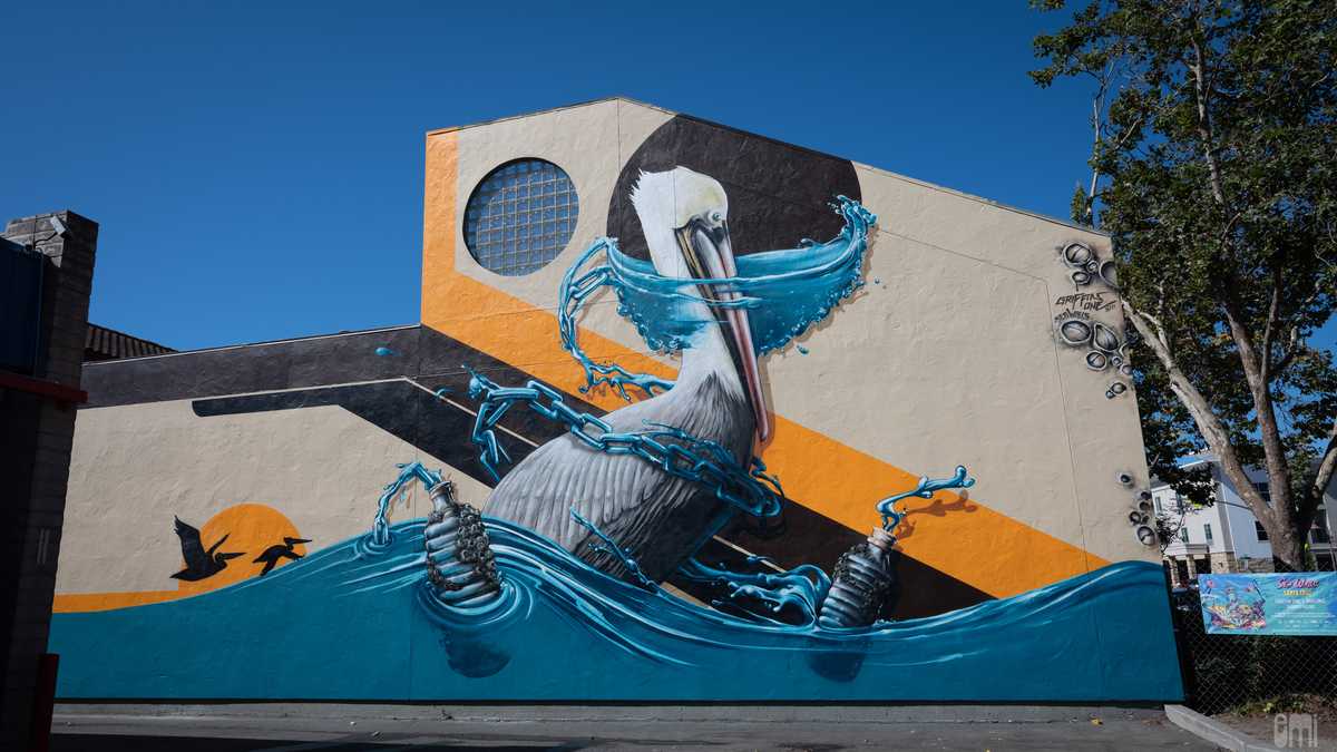 Santa Cruz's newest murals Sea Walls