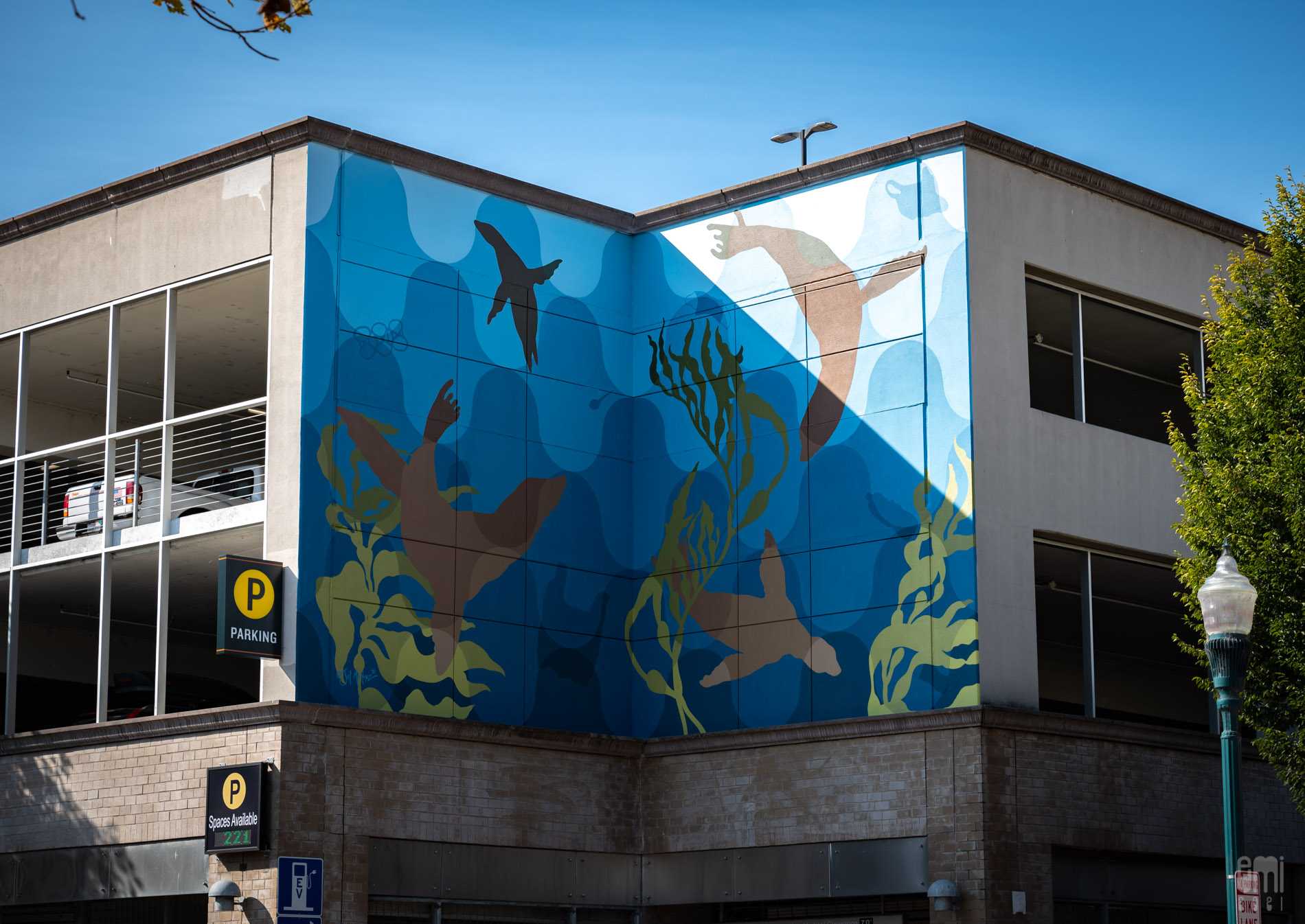 Santa Cruz's Newest Murals: Sea Walls