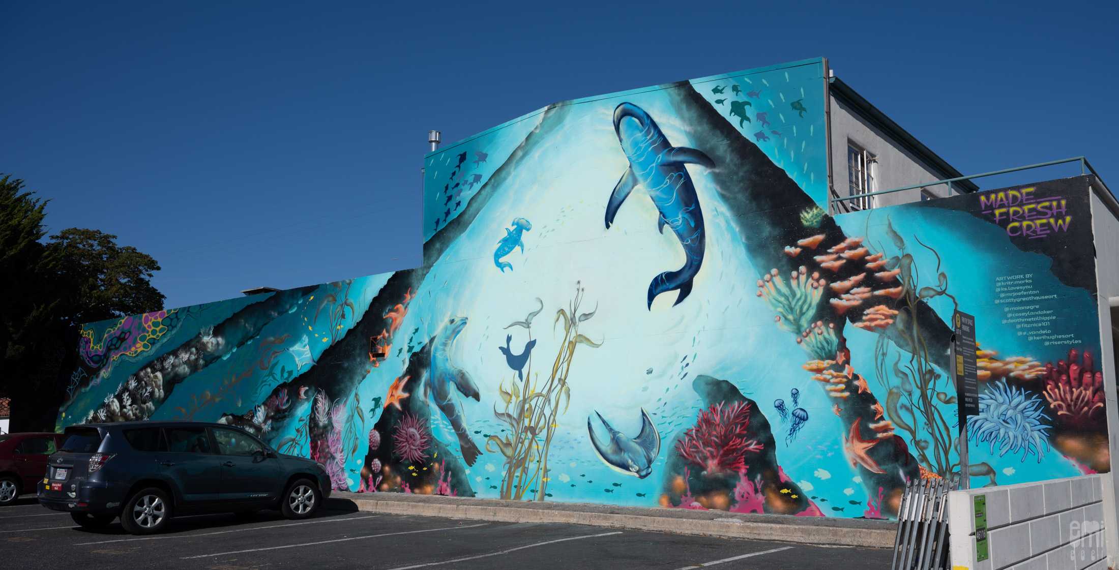 Santa Cruz's Newest Murals: Sea Walls