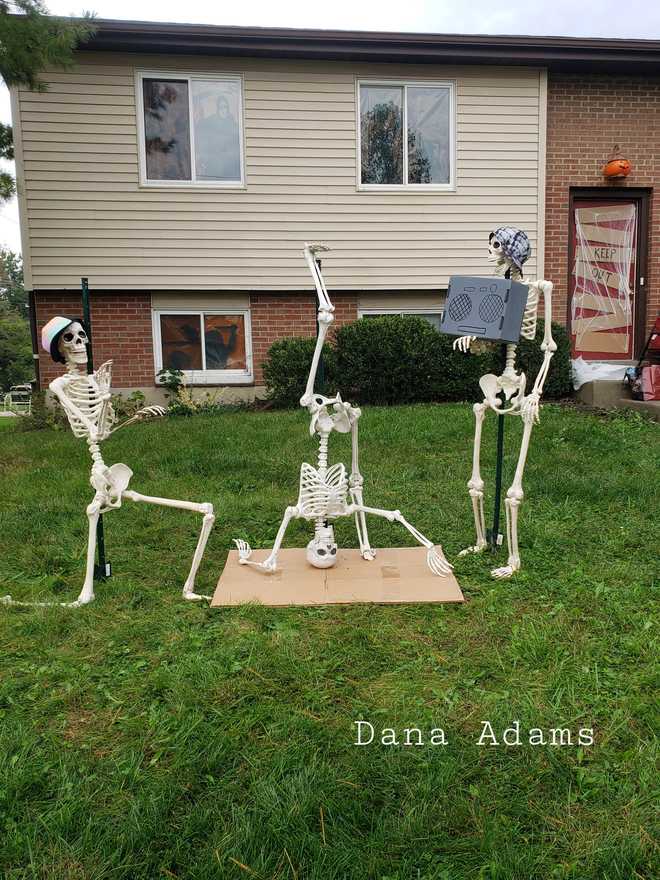 House in Hamilton creating different skeleton displays everyday this ...