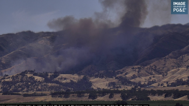 Several grass fires spark across Sacramento area on Saturday - Vimarsana News
