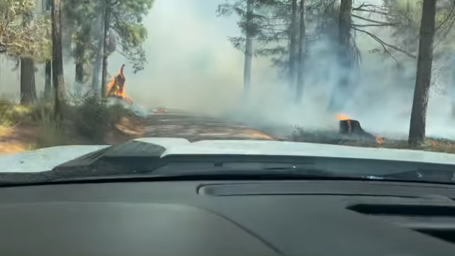 Couple rescued from Mosquito Fire by sheriff's deputy - Vimarsana News