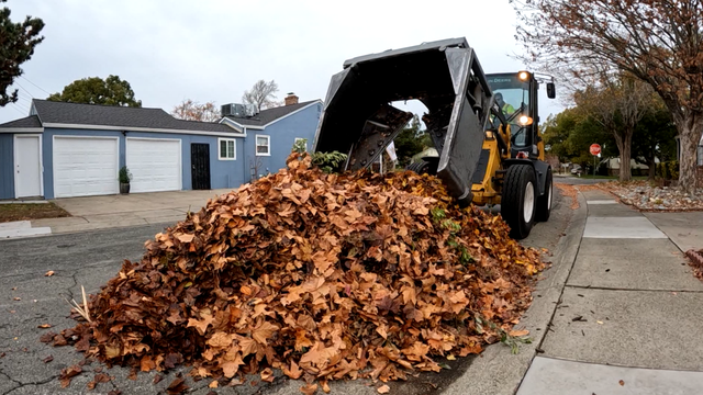 Preps underway for Sacramento rain, windy weather this weekend - Vimarsana News
