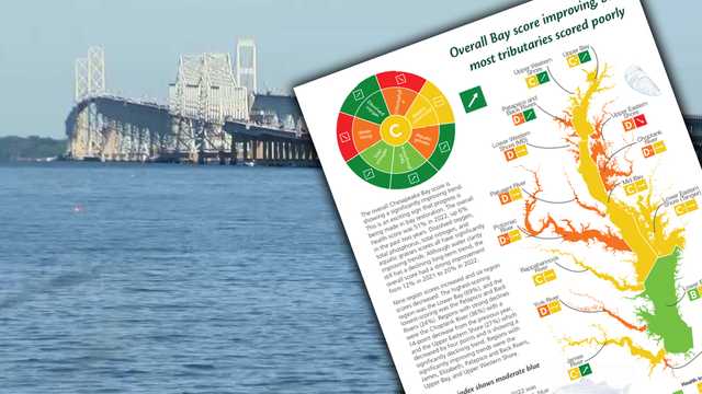 New report gives Chesapeake Bay's overall health 'C' grade - Vimarsana News