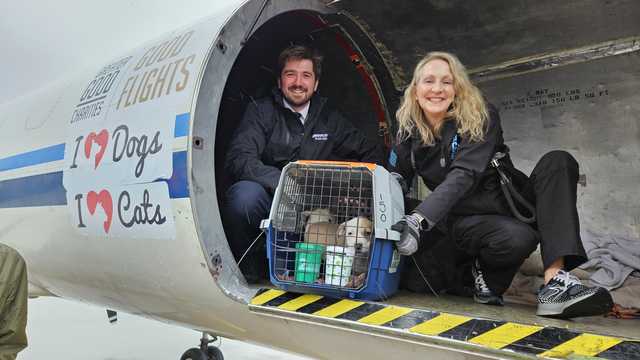 HAWS and other local shelters rescue 35 animals from Louisiana right before Thanksgiving - Vimarsana News