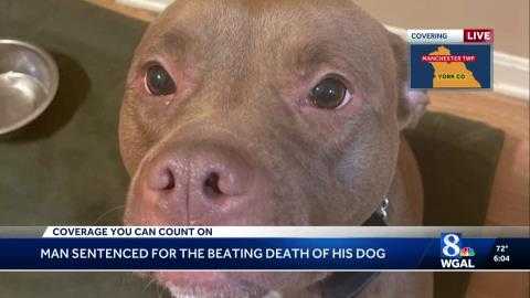 2025 07 03t18 00 43 5567333 04 00