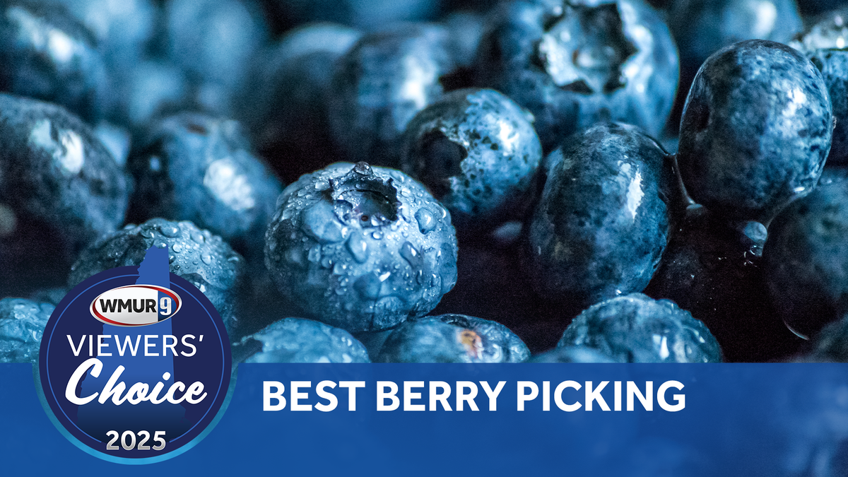 Viewers' Choice 2025: Best berry picking in New Hampshire