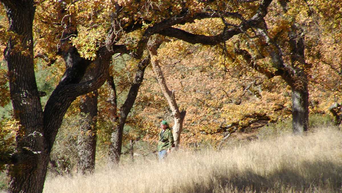 Ohio hunters can apply for controlled hunting opportunities on state's