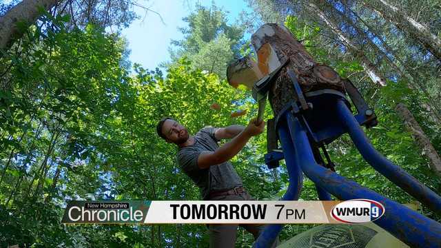 A forester lumberjack athlete – Thursday on NH Chronicle - Vimarsana News