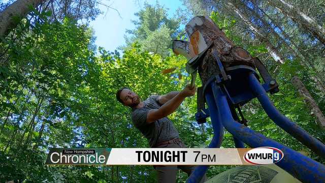 A forester lumberjack athlete – Tonight on NH Chronicle - Vimarsana News