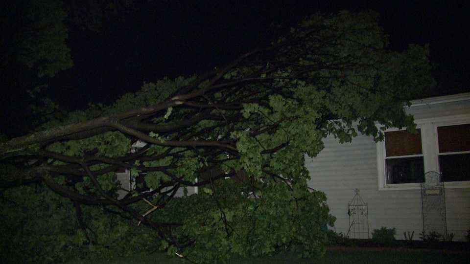 Storms send trees crashing onto homes in southeast Wisconsin