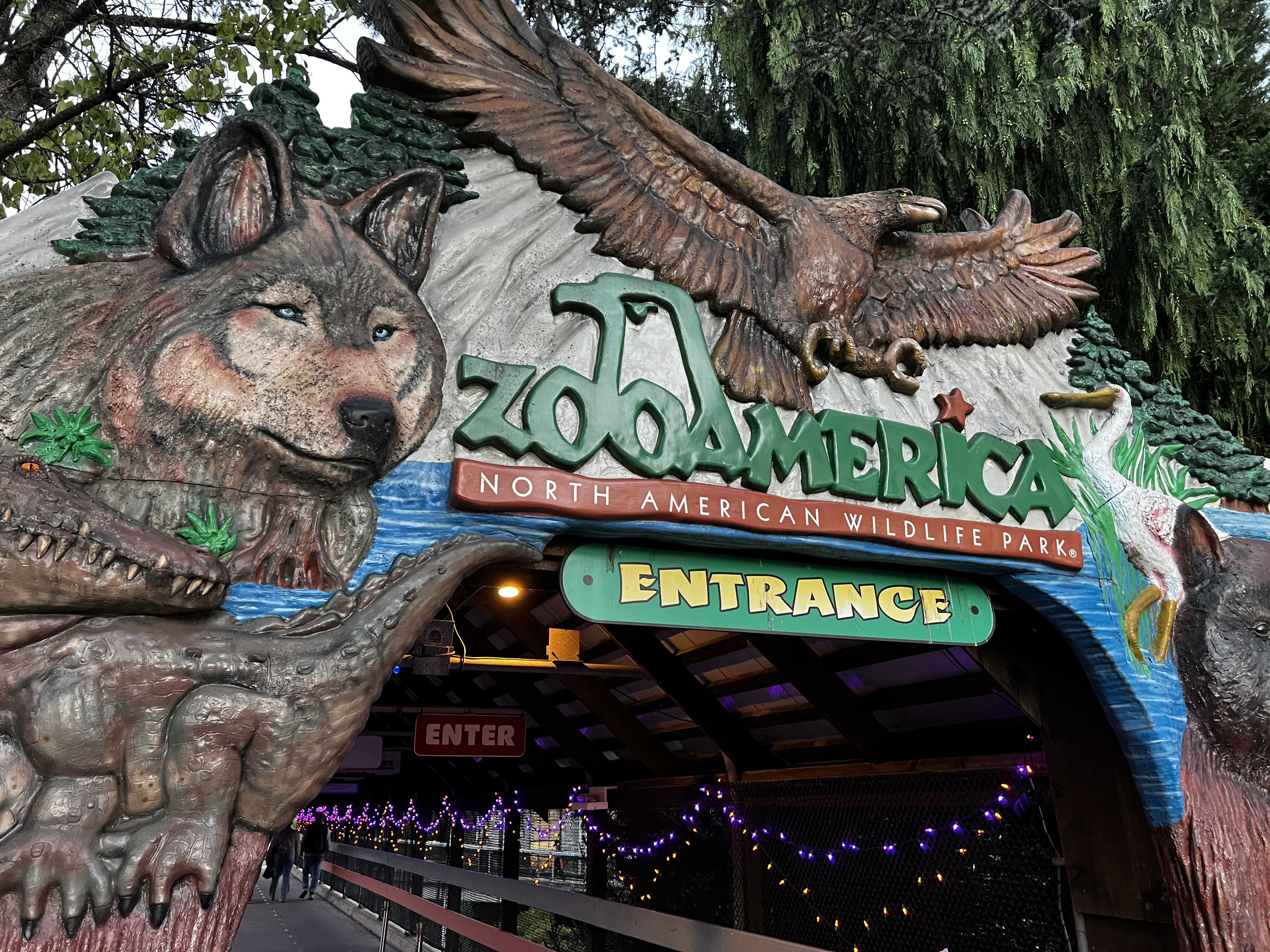 Pa. toddler injured by wolf at ZooAmerica - WGAL