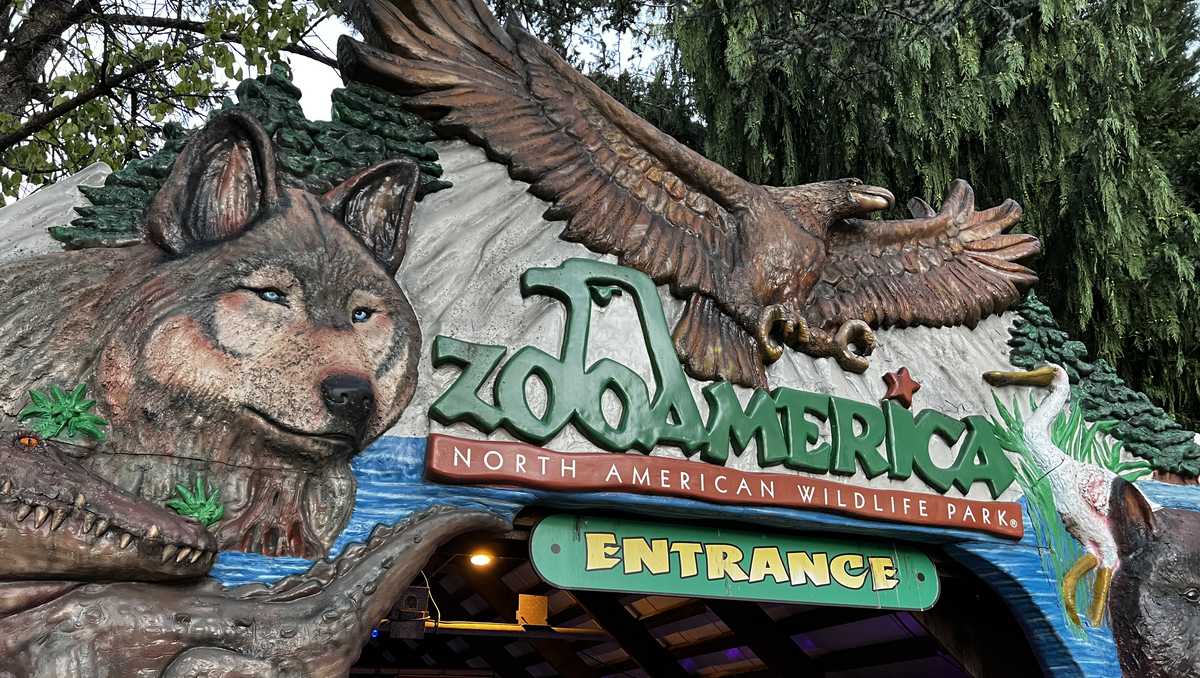 Parents charged with child endangerment after incident at ZooAmerica