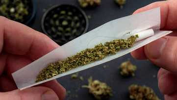 Compliance officers to help crack down on illegal cannabis in New Mexico