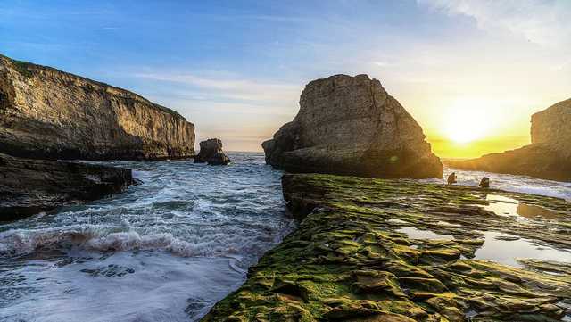 Yelp names country's 50 best state parks, Santa Cruz park nabs top Calif. honor - Vimarsana News