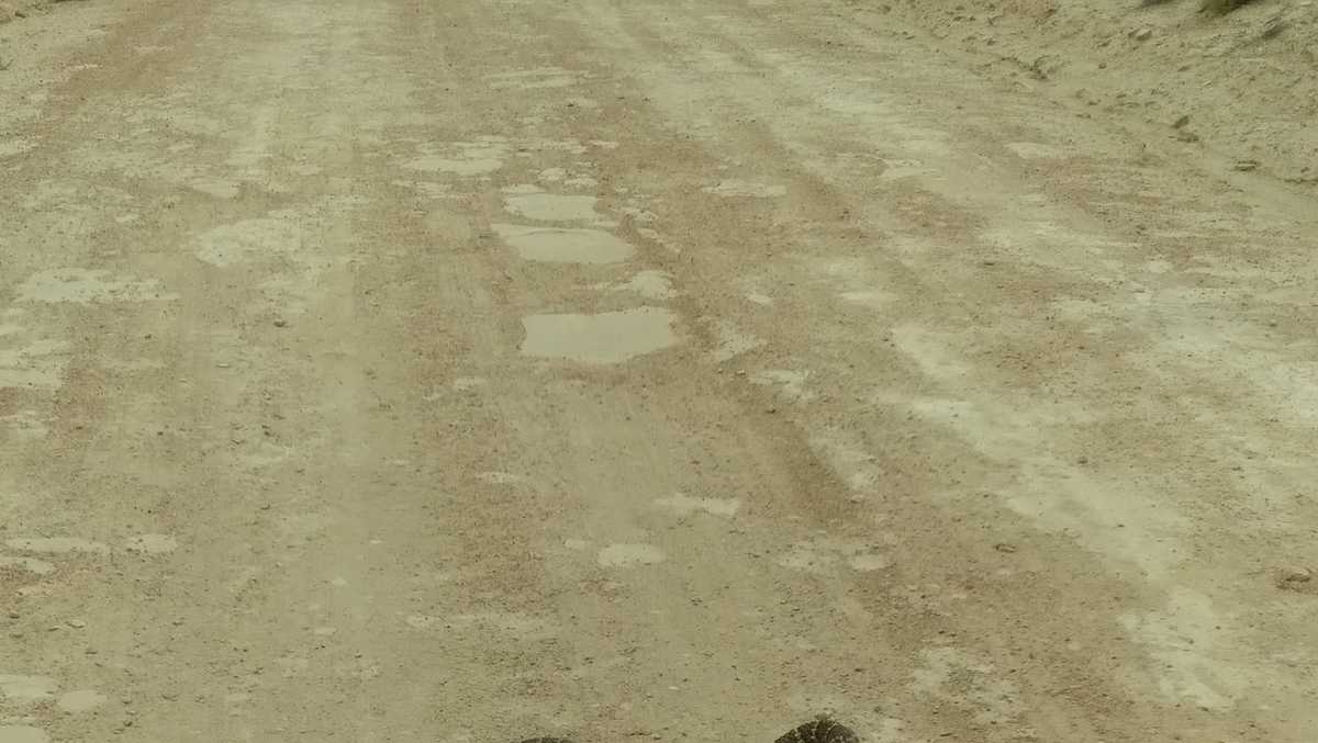 Viewer captures rattlesnake ready to attack