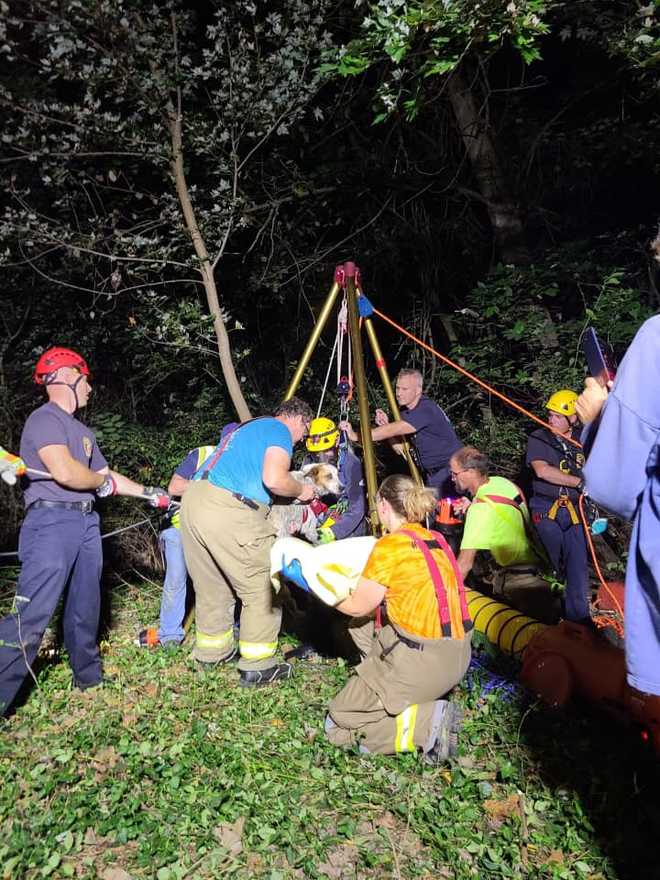 WOW: Firefighters rescue dog trapped in 40-foot well