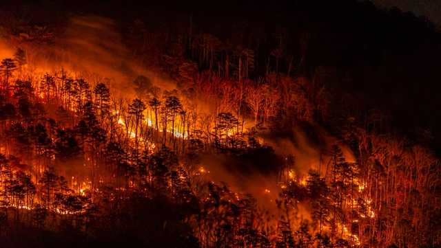 Pilot Mountain: Fire containment expected by the end of week - Vimarsana News