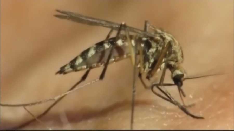 Western Iowans face greatest threat of West Nile virus