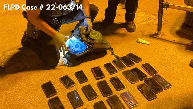 Pickpocketing thieves steal phones at Florida music festival - Vimarsana News