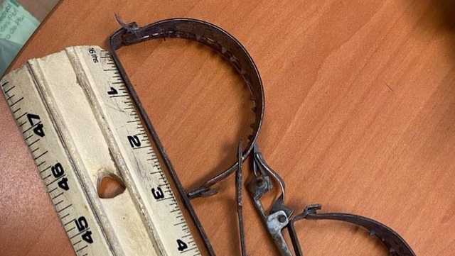 Santa Cruz Sheriff's Office aiding investigation into illegal steel traps - Vimarsana News