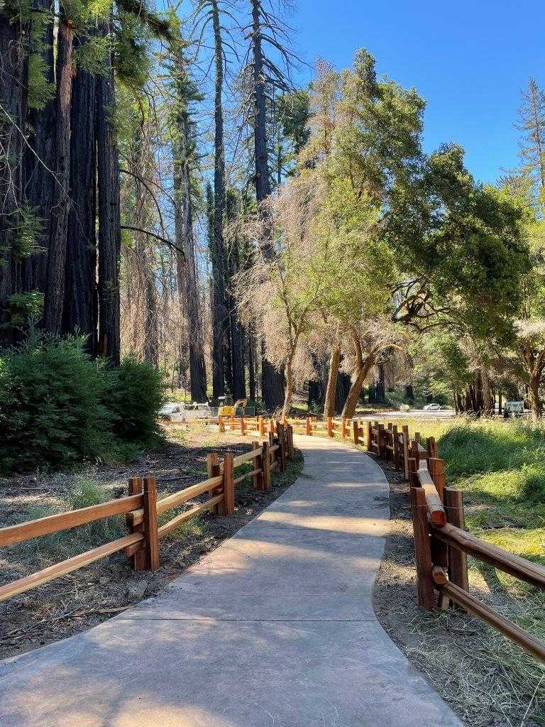 Big basin redwoods state park outlet parking