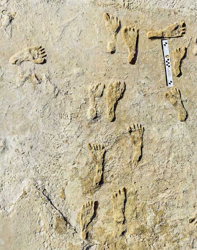 ホワイトサンズで見つかった化石化した足跡は 新しい啓示につながります ブログお姉ちゃんちゃん