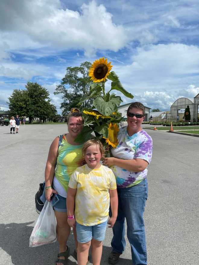 You can pick your own sunflowers at this Kentucky farm