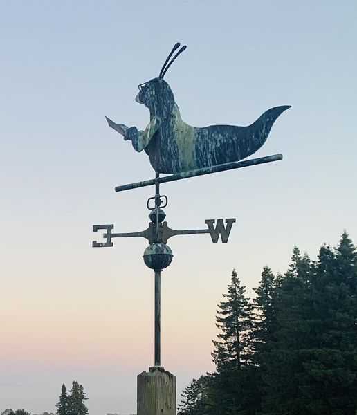 Sammy the Slug weather vane stolen from UC Santa Cruz