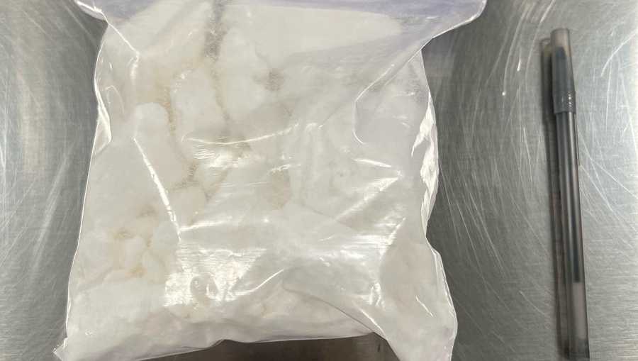 half-a-kilo of cocaine