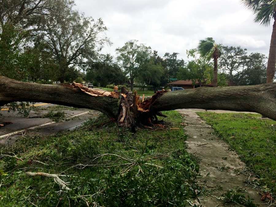 Central Florida viewers capture incredible photos of Hurricane Irma ...