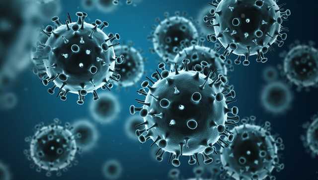 South Carolina: CDC data shows 'very high' flu cases - Vimarsana News