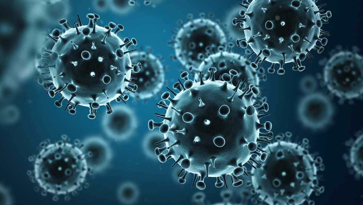 Sono stati segnalati casi di influenza molto elevati