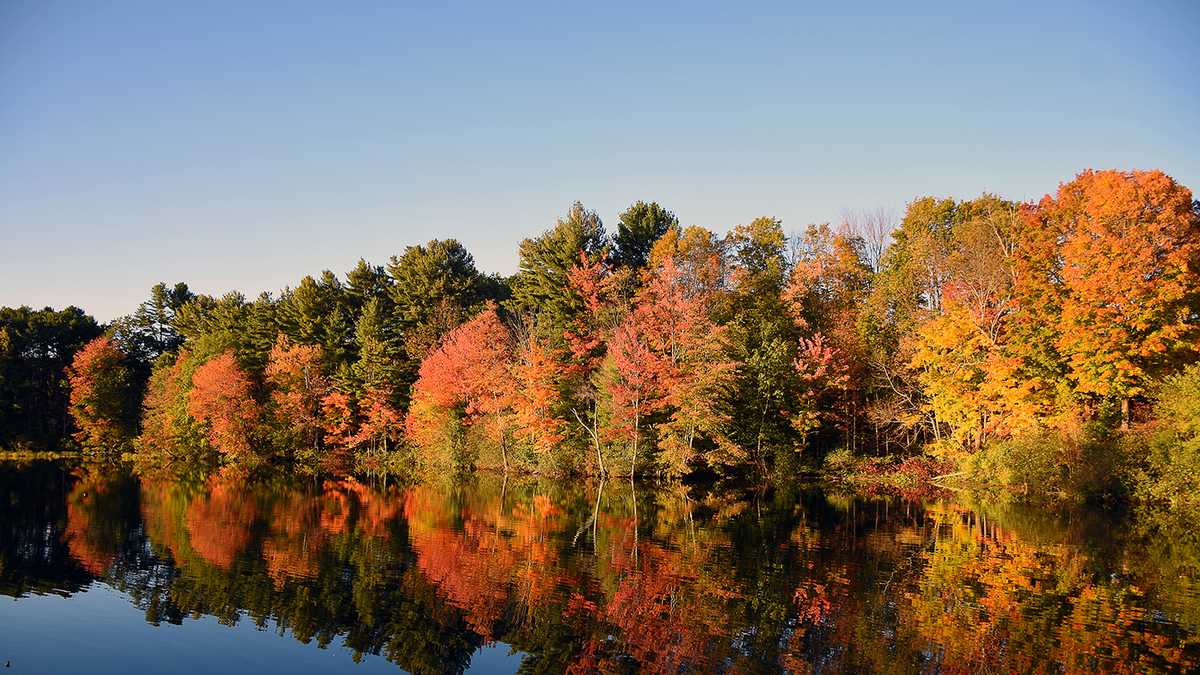 17 breathtaking photos of autumn to get you ready for sweater season