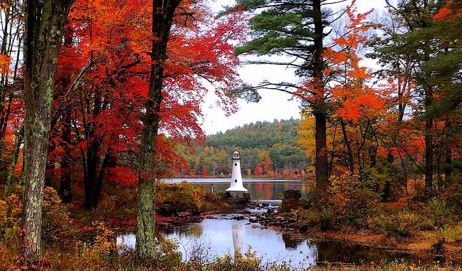 Proof that New Hampshire has the best foliage in the country right now