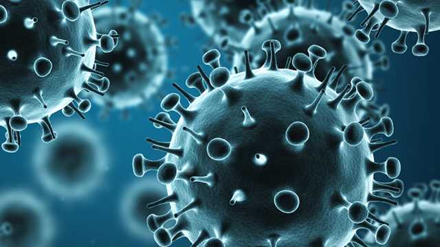First child flu death of the season in Wisconsin - Vimarsana News