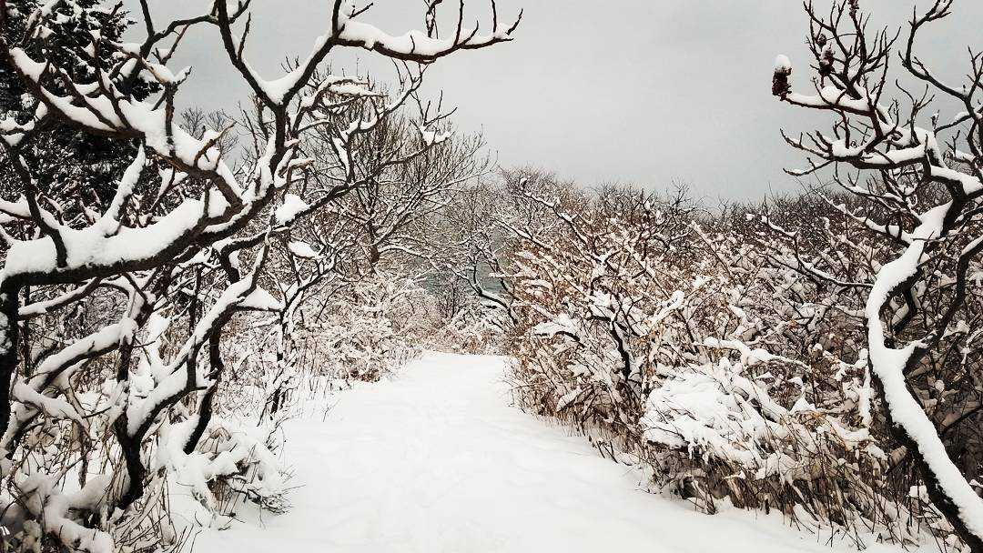 How bad is this year's Maine winter? Bad, index says