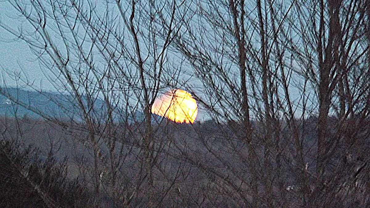 16 Photos of the Super Blue Blood Moon in case you missed it this morning
