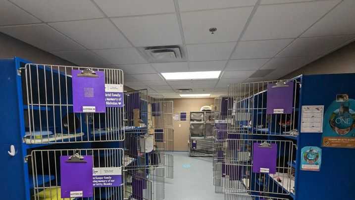 Ohio animal shelter emptied for Home for the Holidays program Ohio animal shelter emptied for Home for the Holidays program