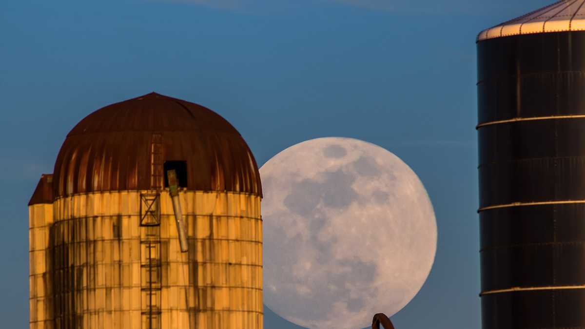 16 Photos of the Super Blue Blood Moon in case you missed it this morning