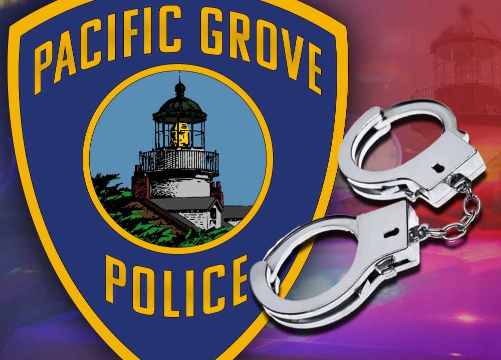 Teen, juveniles arrested in Pacific Grove Safeway alcohol burglary