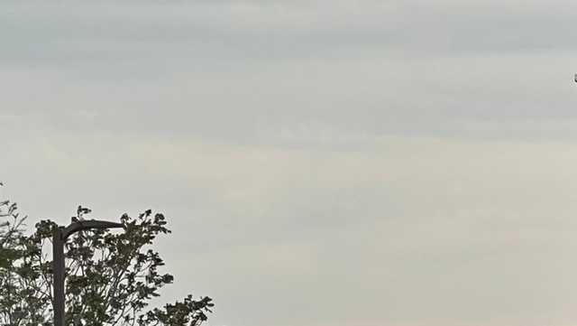 South Carolina: Wave clouds captured in Greenville - Vimarsana News