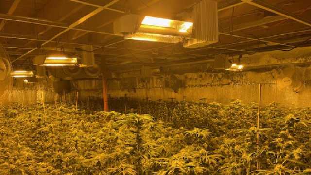 Two more face felony charge in illegal marijuana seizures in Whitefield, Maine - Vimarsana News
